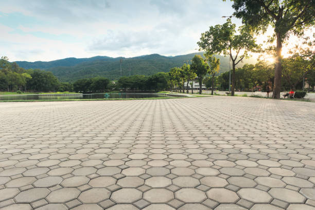 Residential Paver Driveway